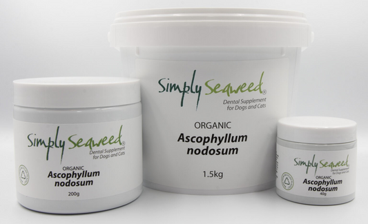 Simply Seaweed dental supplement for dogs & cats