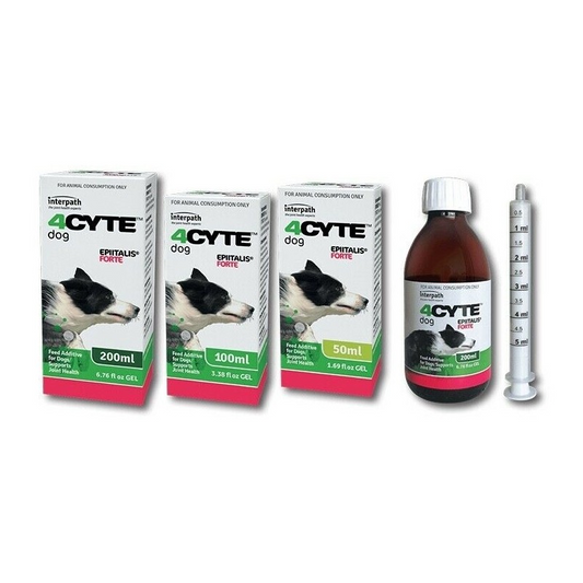 Epiitalis Forte Gel oral joint supplement for dogs