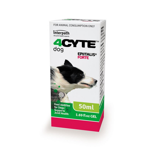 Epiitalis Forte Gel oral joint supplement for dogs